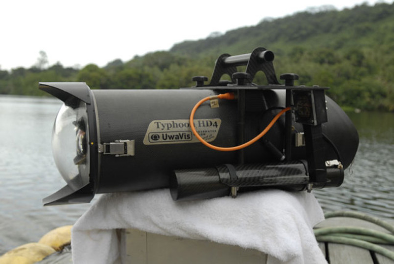 Illustration for article titled $100,000 Camera Captures Slow Mo Surfing, From Underwater